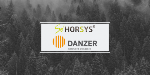 client_sohorsys_danzer