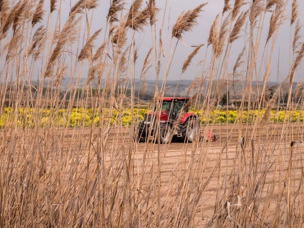 coopérative agricole